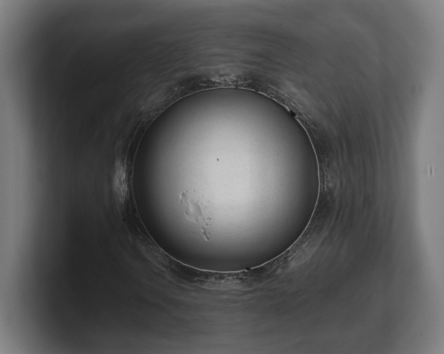 X0000101661106200807171308