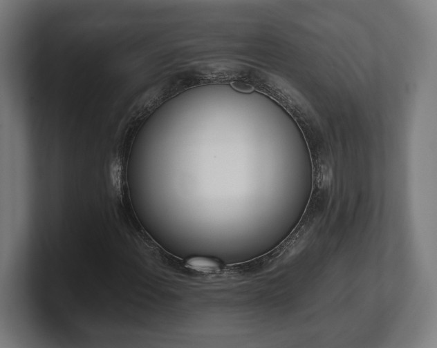 X0000101661108200807171308