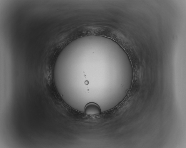 X0000101661109200807171308