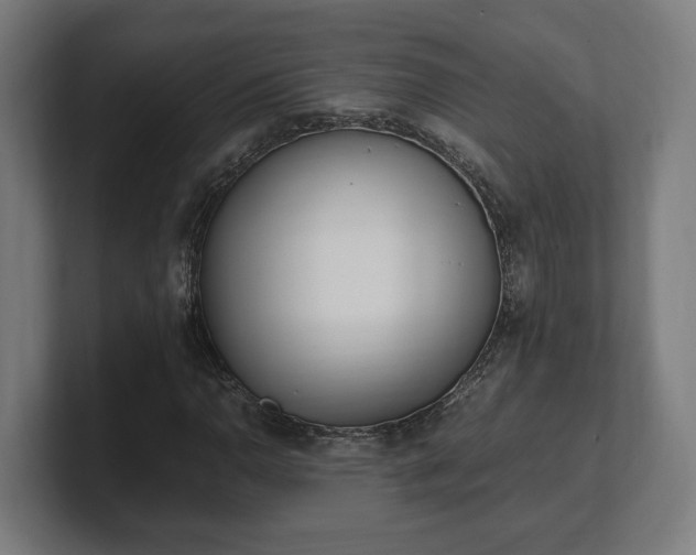 X0000101661110200807171308