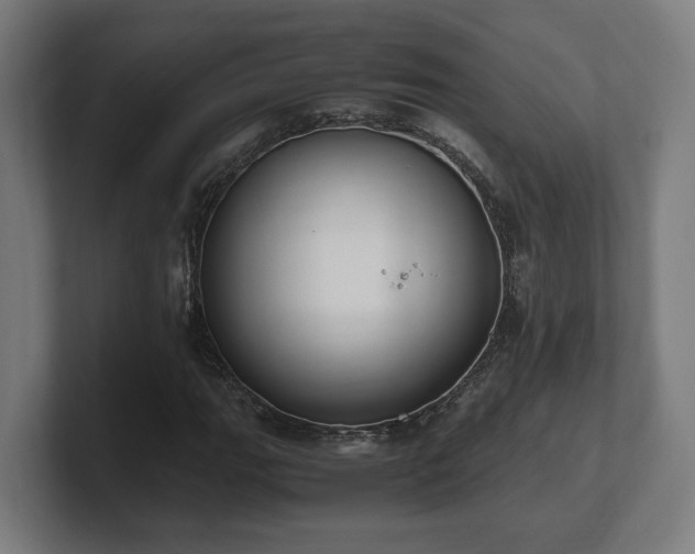 X0000101661111200807171308