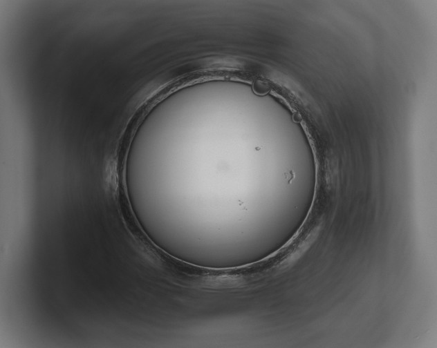 X0000101661113200807171308