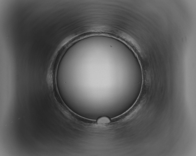 X0000101661114200807171308