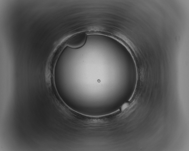 X0000101661115200807171308