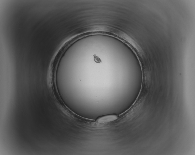 X0000101661116200807171308