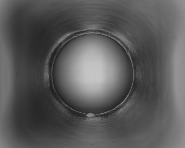 X0000101661118200807171308