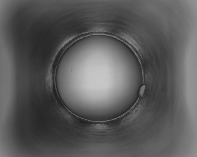 X0000101661119200807171308