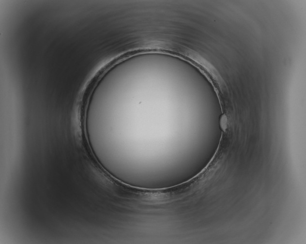 X0000101661120200807171308