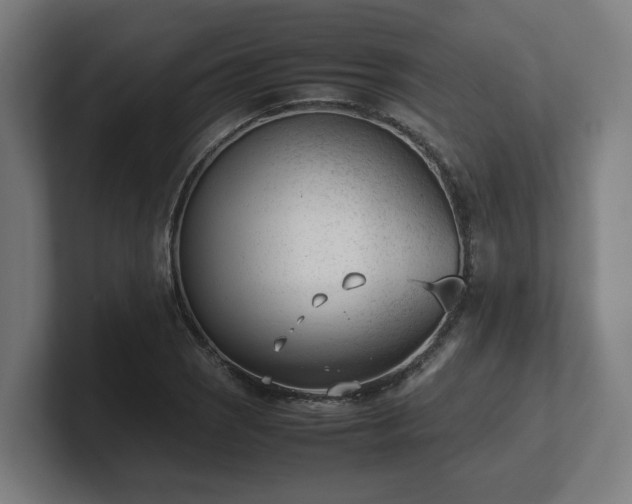 X0000101661121200807171308