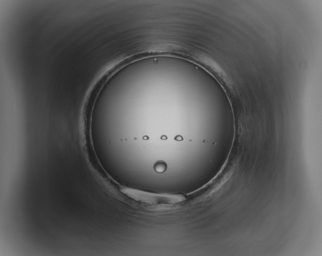 X0000101661122200807171308