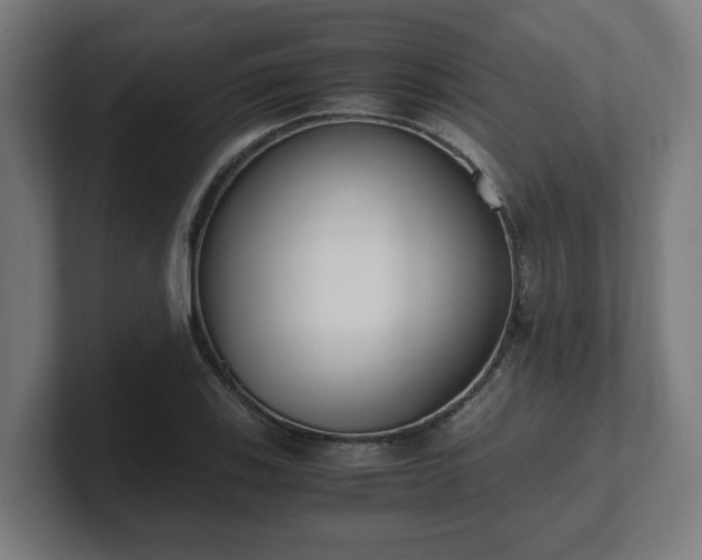 X0000101661123200807171308