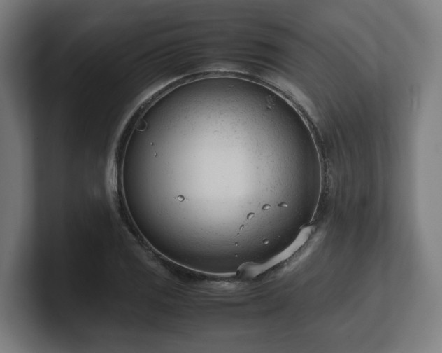 X0000101661125200807171308