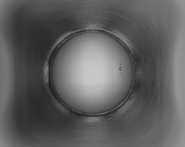 X0000101661126200807171308