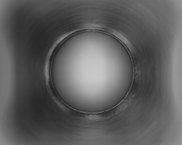 X0000101661128200807171308