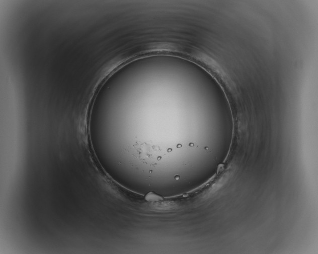 X0000101661129200807171308