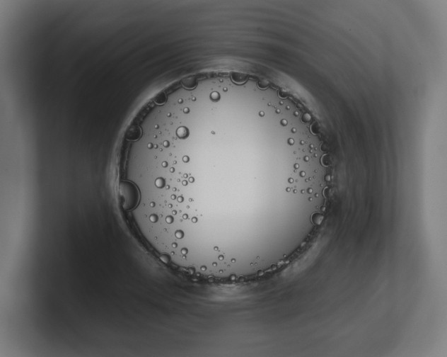 X0000101661130200807171308