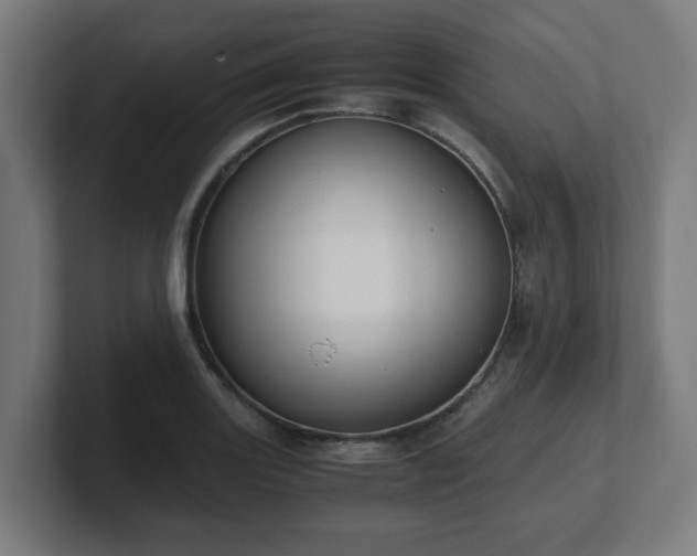 X0000101661131200807171308