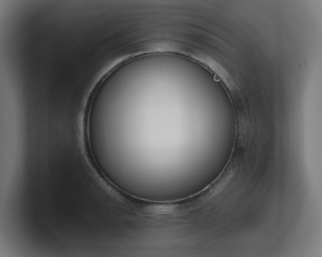 X0000101661134200807171308