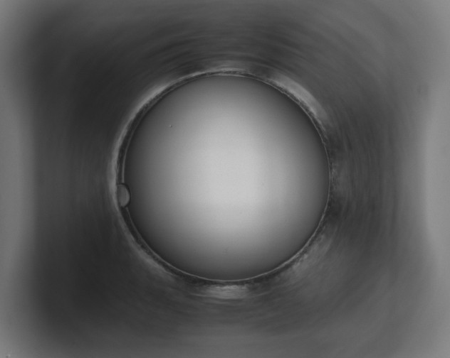 X0000101661135200807171308