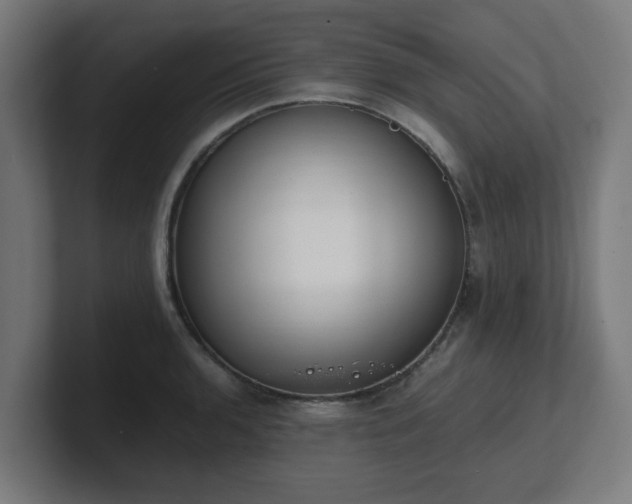 X0000101661136200807171308