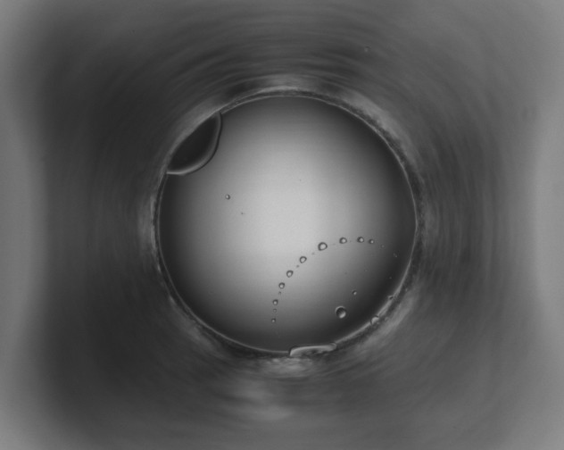 X0000101661137200807171308