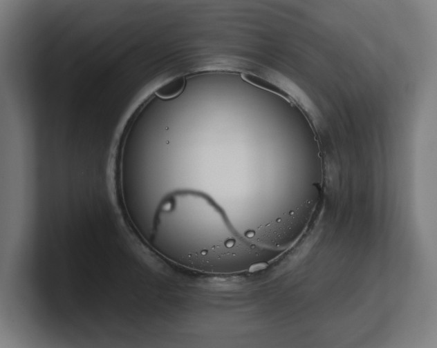 X0000101661138200807171308