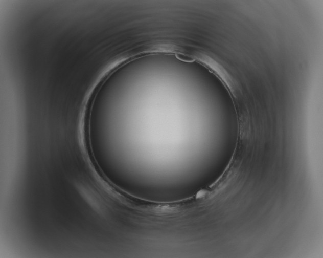 X0000101661139200807171308