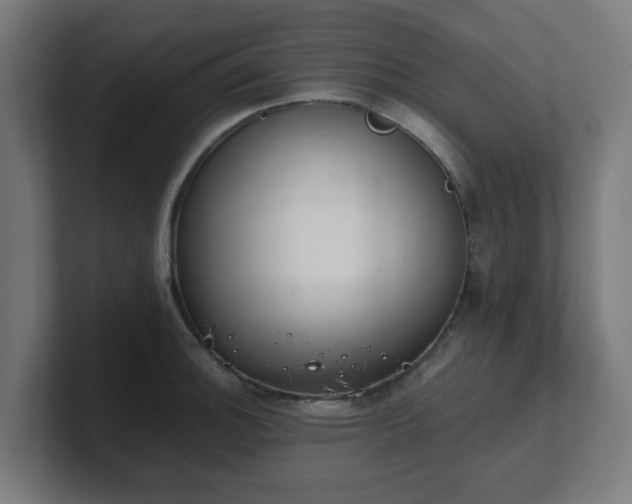 X0000101661140200807171308