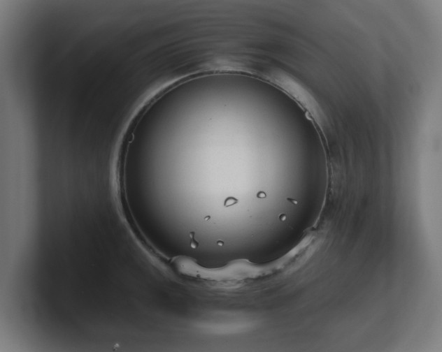 X0000101661141200807171308