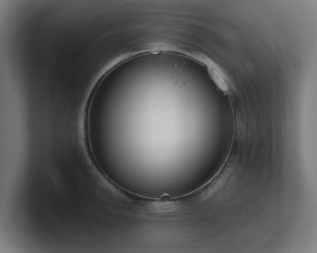 X0000101661142200807171308