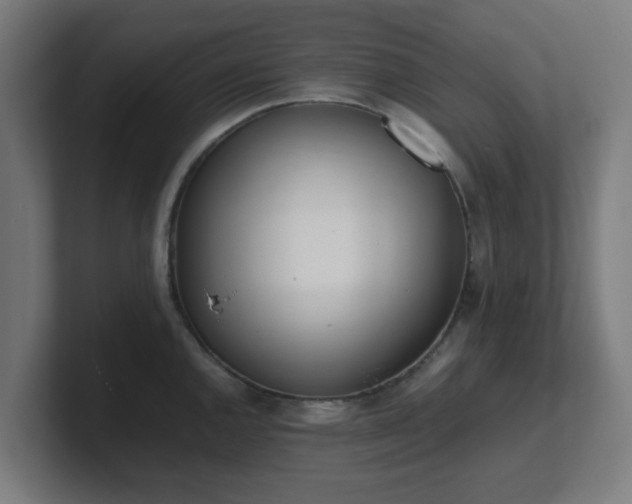 X0000101661144200807171308