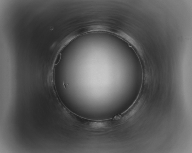 X0000101661145200807171308