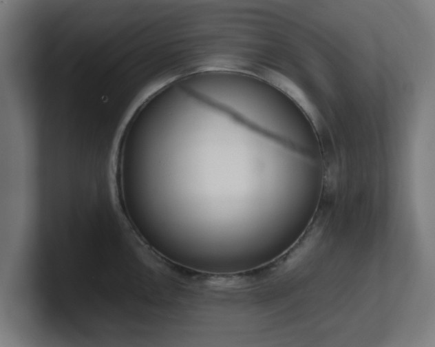 X0000101661146200807171308