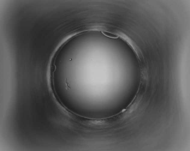 X0000101661147200807171308