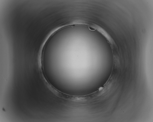 X0000101661148200807171308