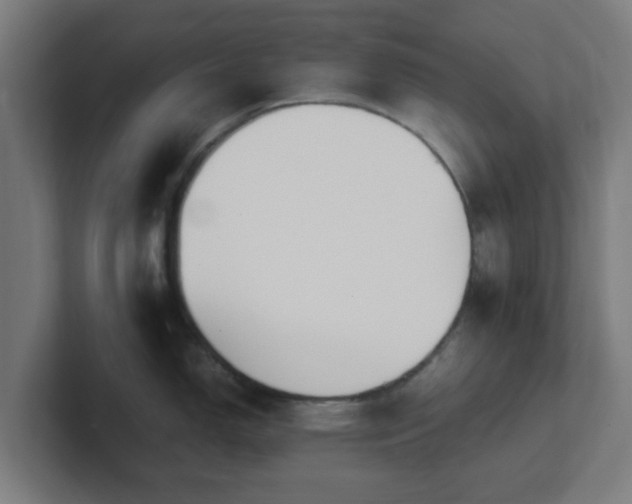 X0000101661150200807171308