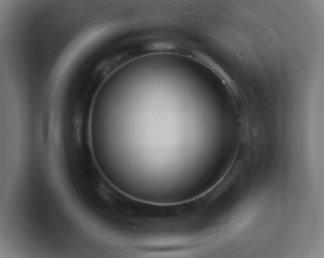 X0000101661151200807171308