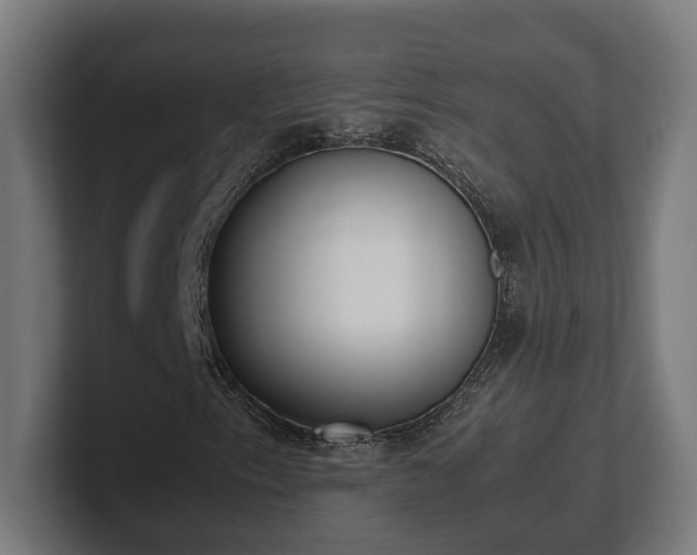 X0000101661153200807171308