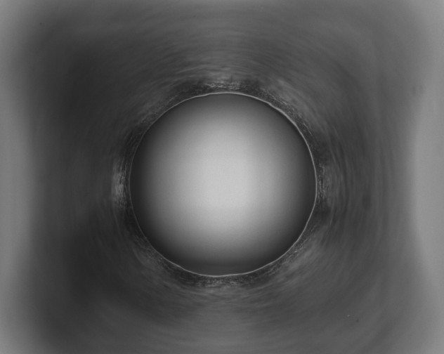 X0000101661154200807171308