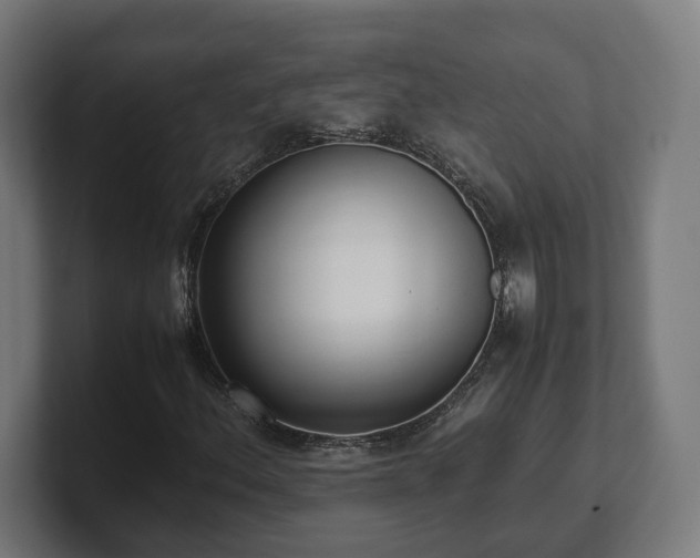 X0000101661156200807171308