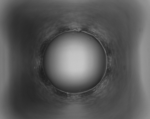 X0000101661157200807171308