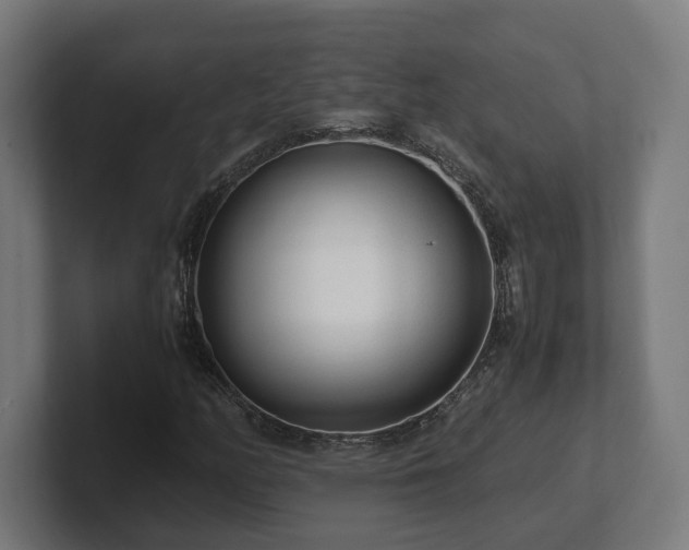 X0000101661158200807171308