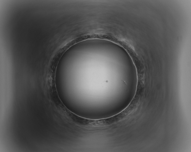 X0000101661159200807171308