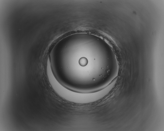 X0000101661160200807171308