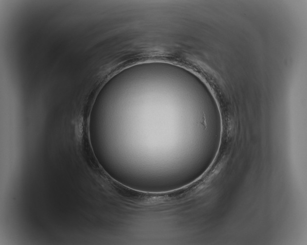 X0000101661161200807171308