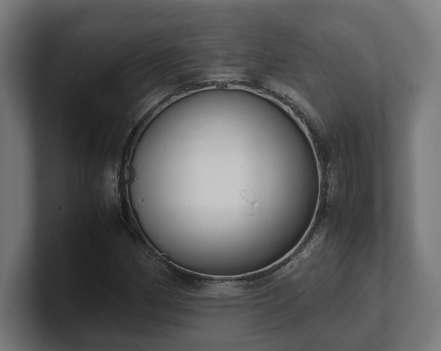 X0000101661162200807171308