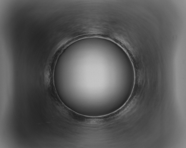 X0000101661163200807171308