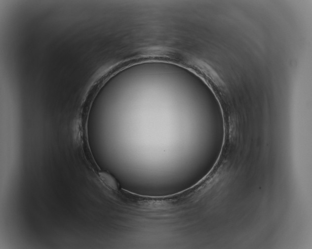 X0000101661164200807171308