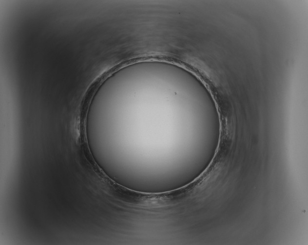 X0000101661165200807171308