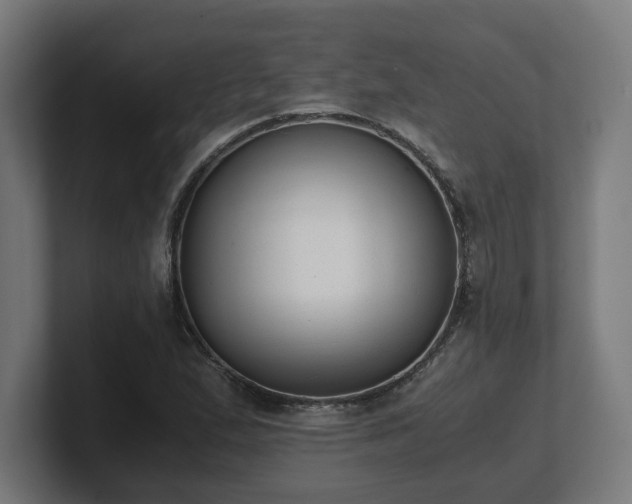 X0000101661167200807171308